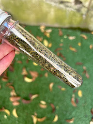 Photo n°28 de Le Bergerac à Saumur (Bar-tabac)