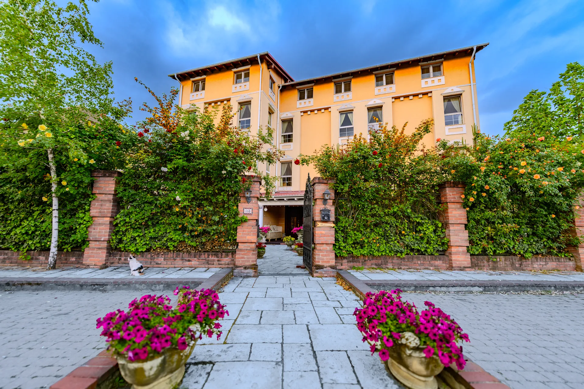 Hotel Casa de la Rosa