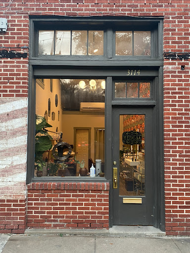 Medusa Hair Alchemist Gallery - United States