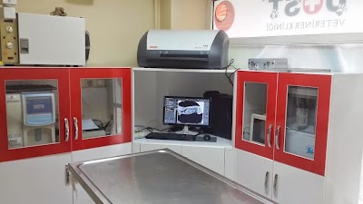Photos of Friends Veterinary Clinic Veterinary Emergency Bahcelievler 7/24