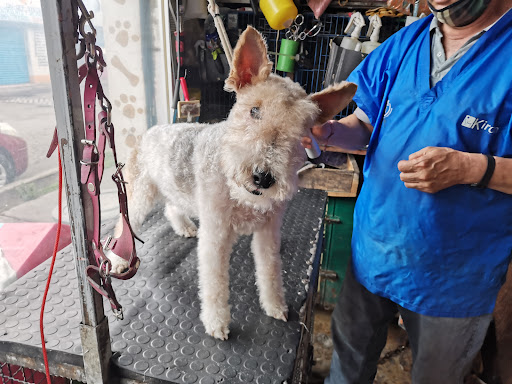 VETERINARIA "TULYEHUALCO"