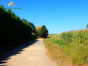 Photo n°3 de A.F. VILLEGIATURE à Saint-Martin-la-Pallu (Agence de location de maisons de vacances)
