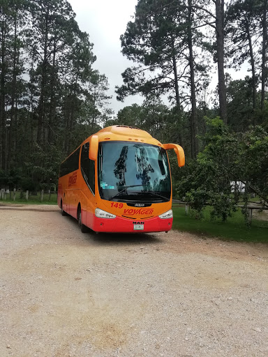 Autobuses Cerritenses de Turismo S.A. de C.V. - Thumbnail