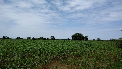 Photos of Mairie De La Commune Rurale De Dieoura