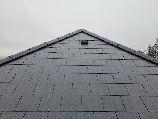 Roofer Belfast @ Delta Roofing - Thumbnail
