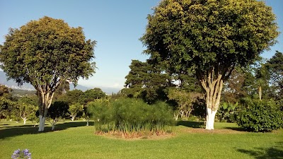 Photos of Finca La Paz