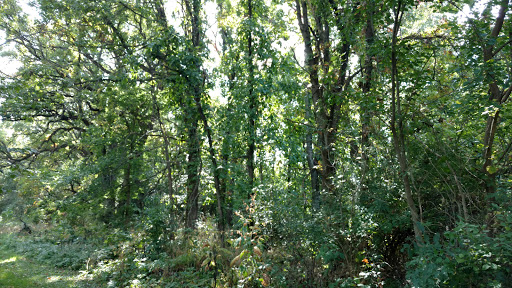 Gleneagle Park - Thumbnail