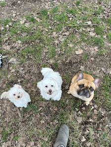 Bild: Hundesalon Best Vom Inhaber