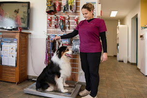 Photo n°7 de Clinique vétérinaire des 1000 pattes - Pithiviers - Sevetys à Pithiviers (Vétérinaire)