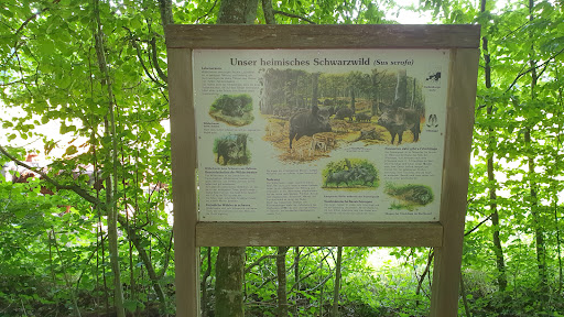 Waldlehrpfad Ehningen - Thumbnail