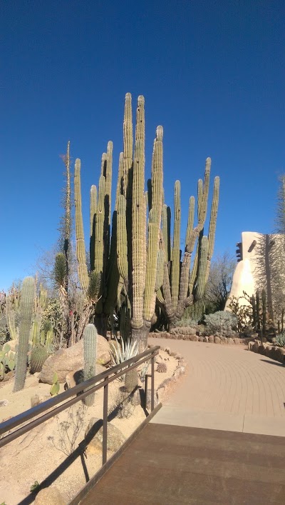 Photos of Desert Botanical Garden