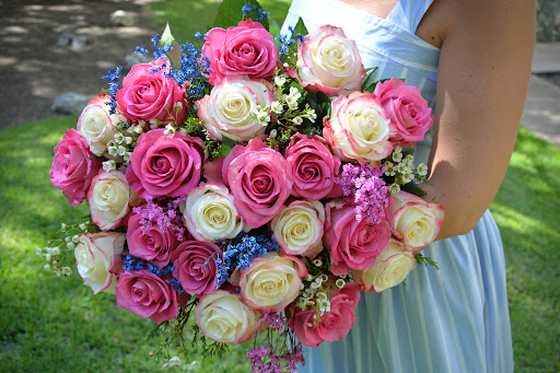 Jane's Fruits and Flowers - Thumbnail