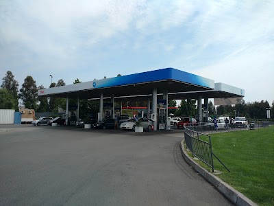 Photos of Atika