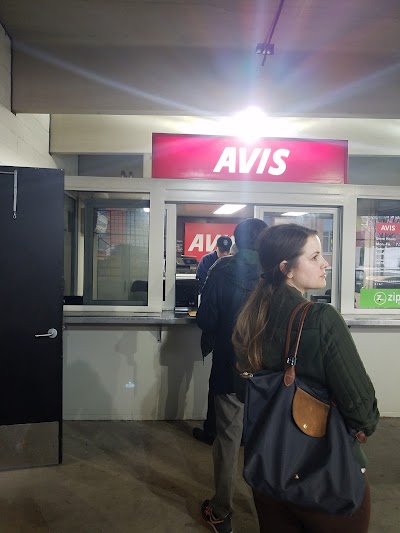 Avis Car Rental