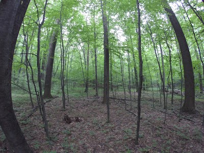 Blue Rocks Family Campground