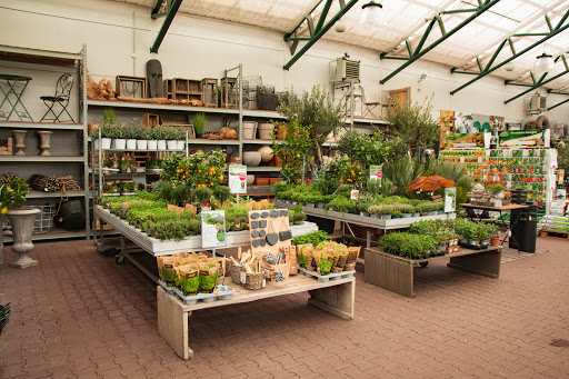Schouten Flowers & Plants - Thumbnail