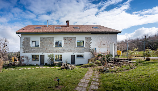Photo de SapinMyrtille à Dommartin-lès-Remiremont (88200)