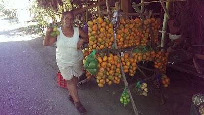 Photos of El Frutal Sara