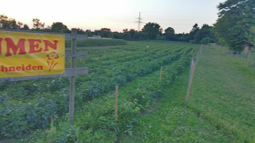 Blumenverkauf Eichenauer - Thumbnail