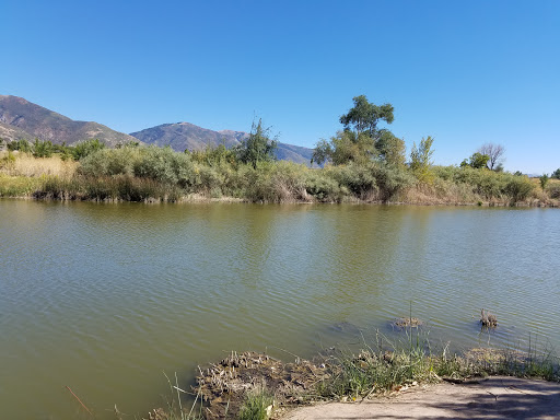 Wetland Discovery Point