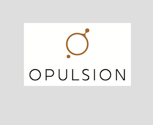 Photo n°12 de Opulsion - Vente de spa • jacuzzi • sauna • hammam - Epinal Vosges (88) à Épinal (Magasin de spa)