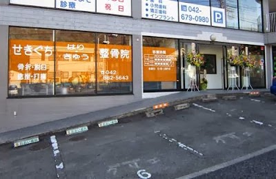 せきぐち はり・きゅう 整骨院