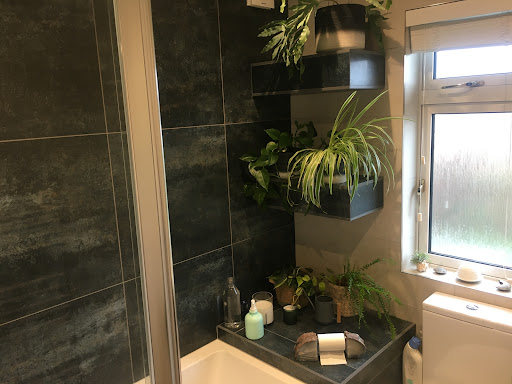 SES Home Developments - Visual