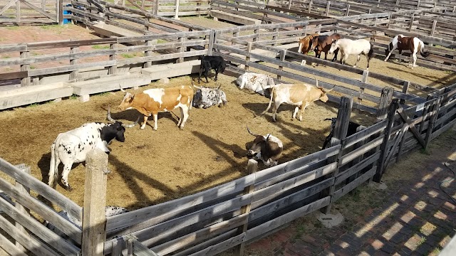 Fort Worth Stockyards