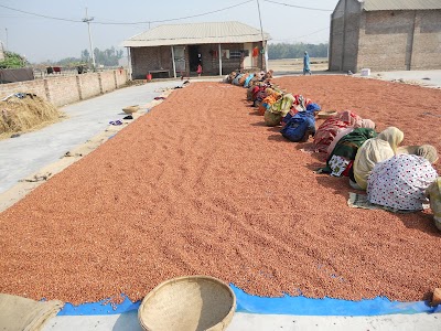 Photos of Tazmeen Agro Resources Accumulator Ltd. (TARA) Debigonj Unit.