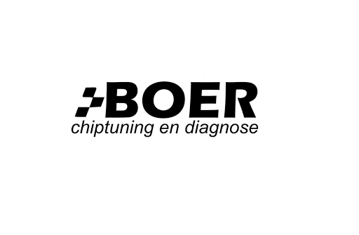 boer chiptuning en diagnose - Thumbnail