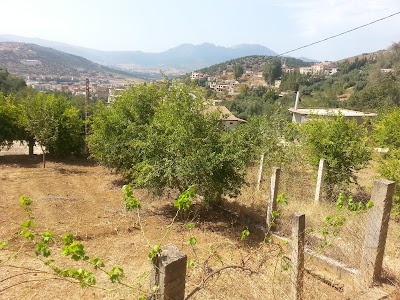 Photos of Mezrarri