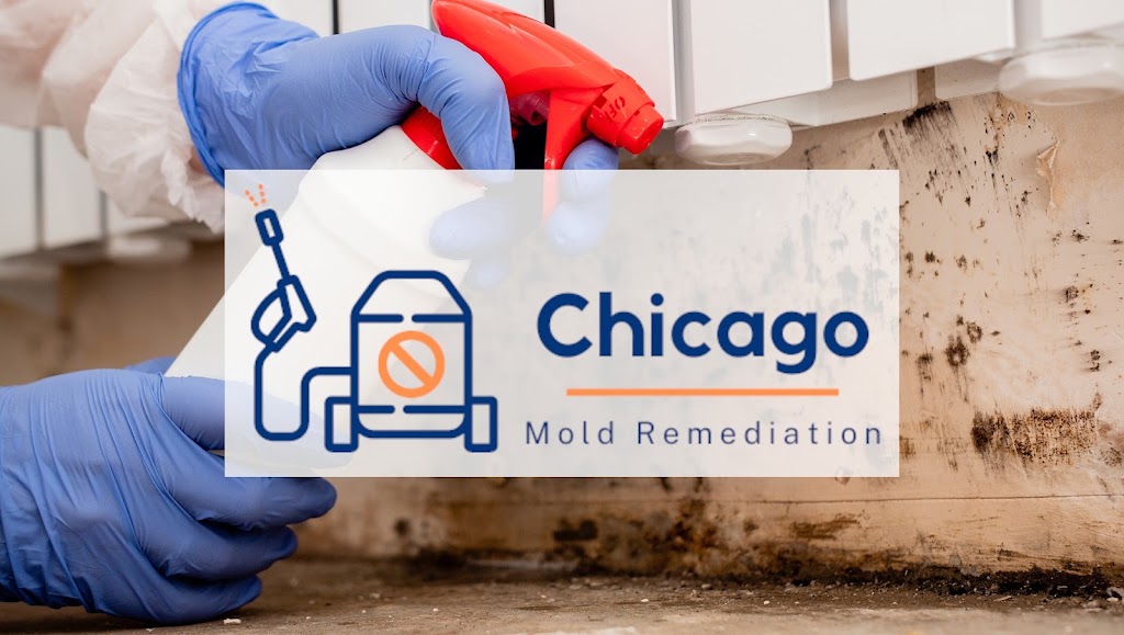 Chicago Mold Remediation photo
