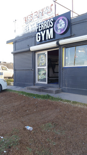 Perros Gym