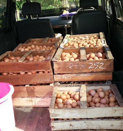 Photos of FAZRUN LAYER FARM