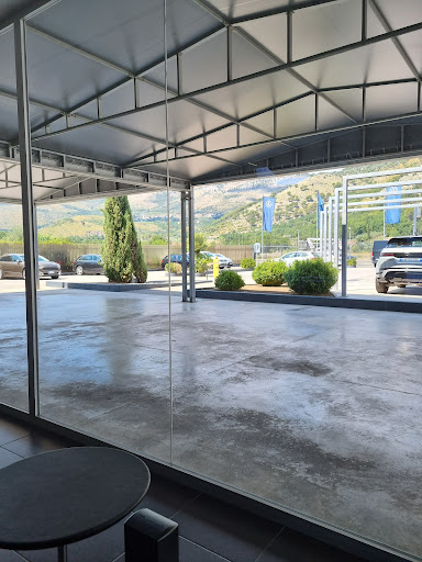 ZENTRUM CASSINO S.R.L. - Audi Service