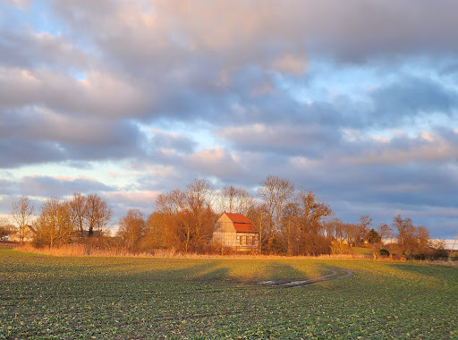 Dorfkirche Podewall - Thumbnail