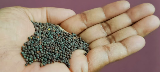 Gallery image 7