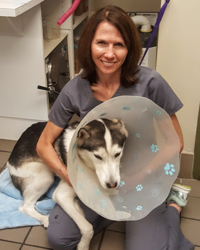 West End Veterinary Clinic
