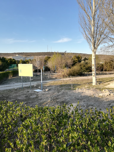 Balsa Park - Visual