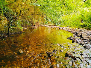 Photo n°5 de Crok'Nature à Padiès (Parc de loisirs)