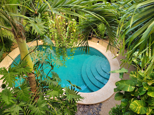 The Secret Garden: An Oasis in Tulum