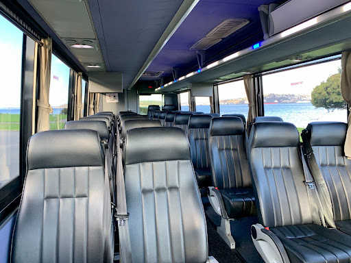 Bus Forceone - Visual