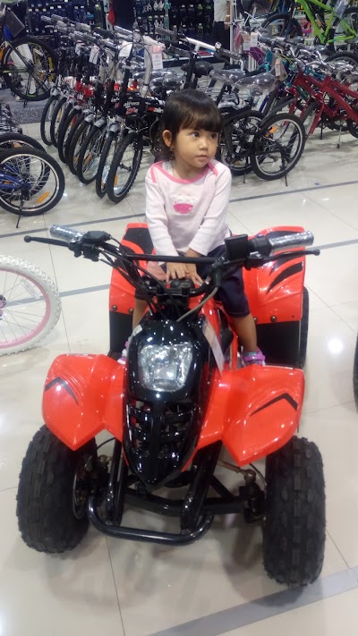 Photos of Ace Hardware Green Terrace TAMINI