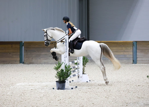 Hanover Stables - Visual
