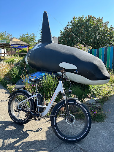 Orcas Bikes - Visual