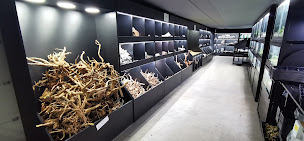 Photo n°45 de Aquaplante à Sartrouville (Magasin d'articles d'aménagement aquatique du jardin)