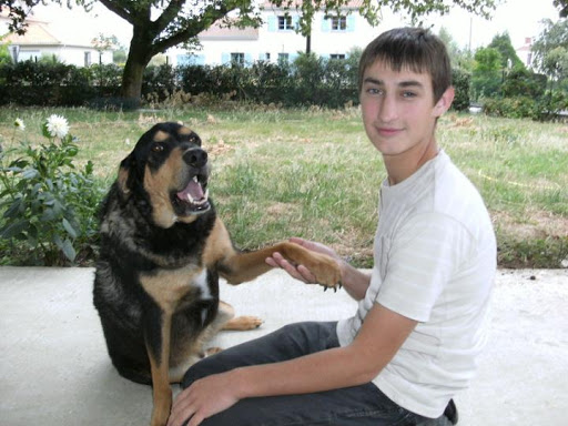 Pension canine en famille (44) Gallery - France
