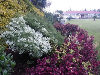 Photos of Wima Serenity Gardens Guest House Kericho