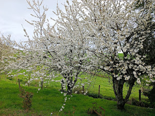 Photo n°10 de La Douce Parenthèse à Montirat (Chambre d'hôtes)
