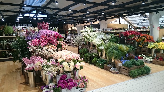 Jardiland